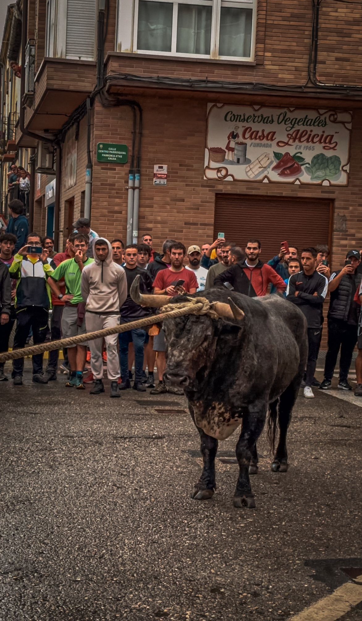 Bullfighter dodging a bull