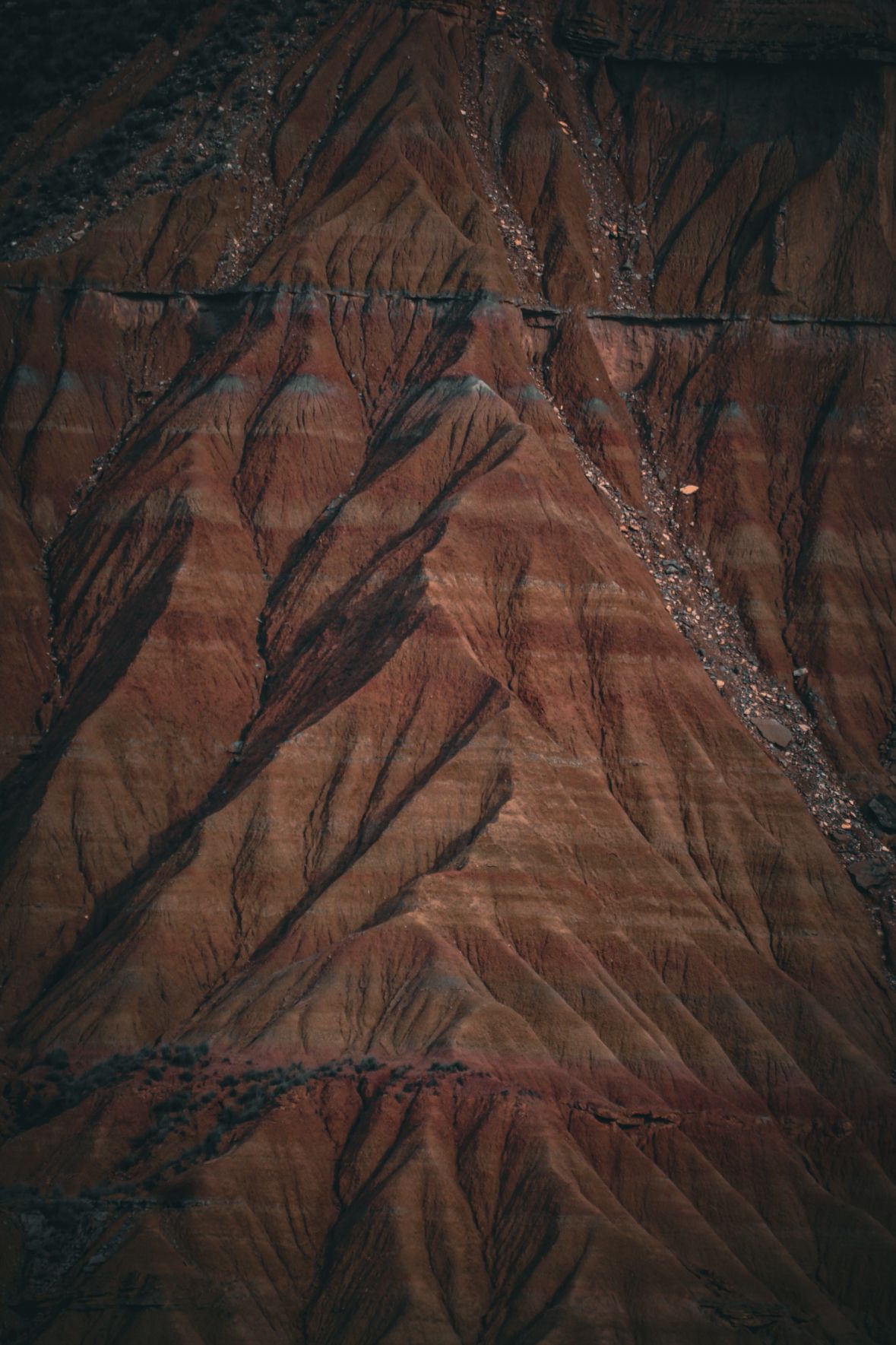 Sendero natural en las Bardenas Reales